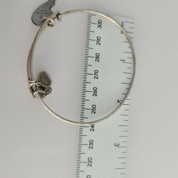 Alex and Ani Sterling Sliver "Best" friends Charm Bracelet - Picture 6 of 6
